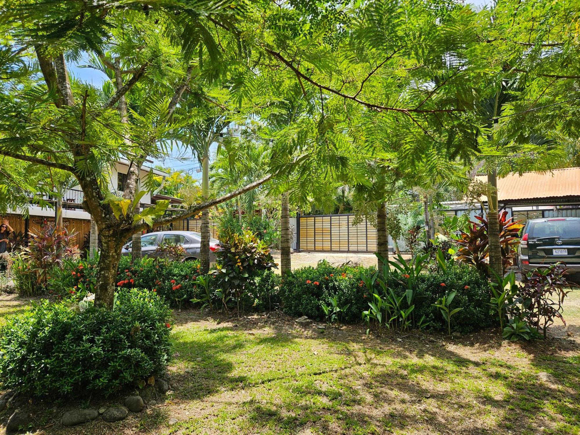 Trebolmar Apartments For Remote Work Playa Santa Teresa  Esterno foto